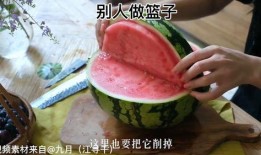 今日吃瓜官网,揭秘娱乐圈最新热点，带你畅游八卦海洋